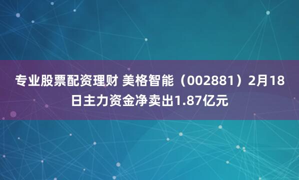 专业股票配资理财 美格智能（002881）2月18日主力资金净卖出1.87亿元