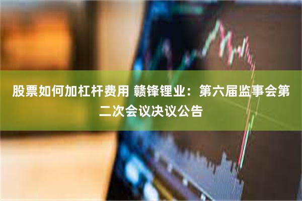 股票如何加杠杆费用 赣锋锂业：第六届监事会第二次会议决议公告