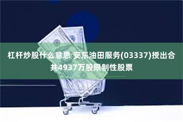 杠杆炒股什么意思 安东油田服务(03337)授出合共4937万股限制性股票