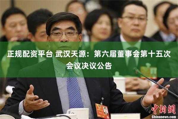 正规配资平台 武汉天源：第六届董事会第十五次会议决议公告