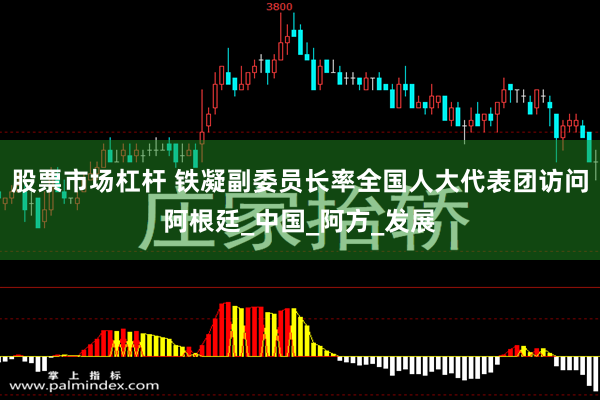 股票市场杠杆 铁凝副委员长率全国人大代表团访问阿根廷_中国_阿方_发展