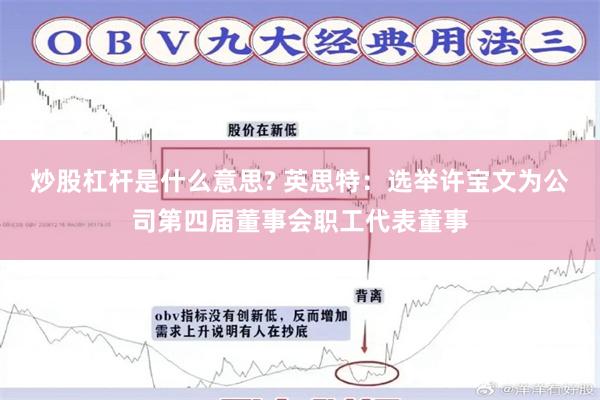 炒股杠杆是什么意思? 英思特：选举许宝文为公司第四届董事会职工代表董事